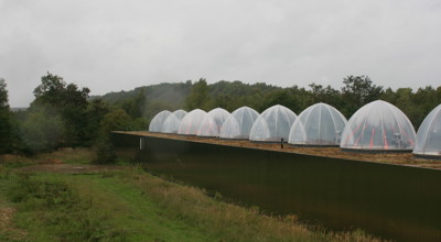 Img 0019
