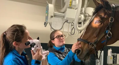 Paardenkliniek Equitom Lummen