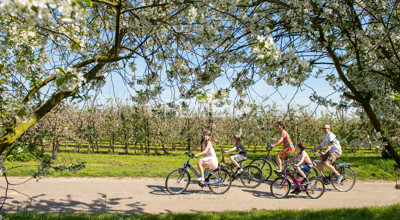 Fietsgezin Haspengouw