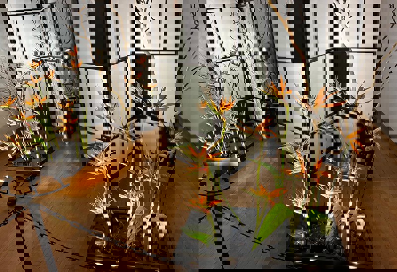 IMG 20250926 WA0042