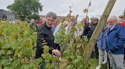 Heuvelland 14Jun2024)