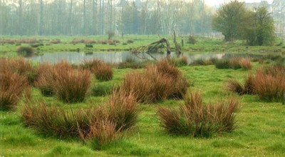 12-06-2026 Wandeling Liedekerke