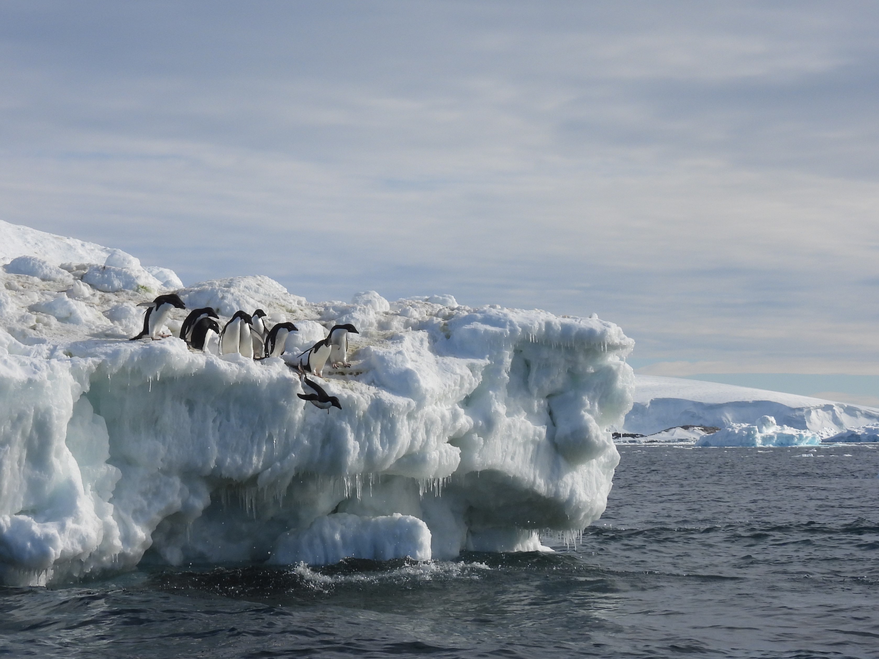 Vrouwen, wetenschap en Antarctica