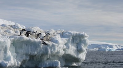 Vrouwen, wetenschap en Antarctica