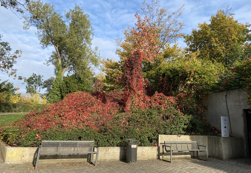 Tuin in Centrum