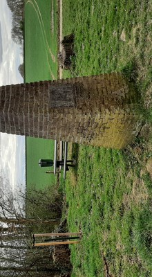 Wijngaardbos