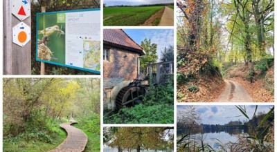 Lubbeek Collage M (1)