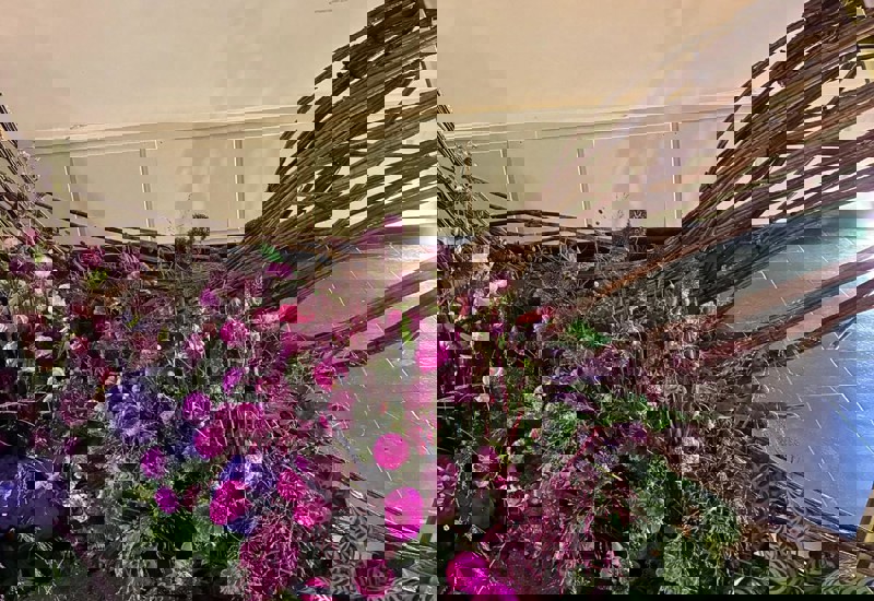 IMG 20250926 WA0026