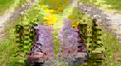 102696519 3347044688659250 8570905526592030762 N