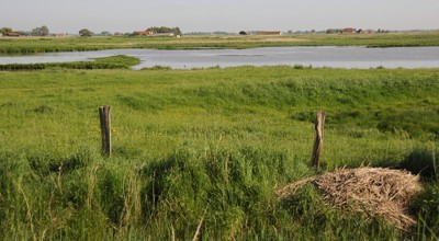 Uitkerke Landschap (6)
