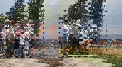 IMG 20250709 WA0005
