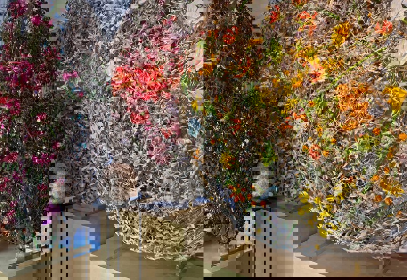 IMG 20250926 WA0009