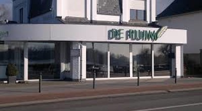 De Pluim