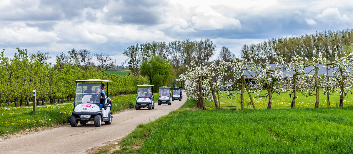 Golfkarrentrip bloesems