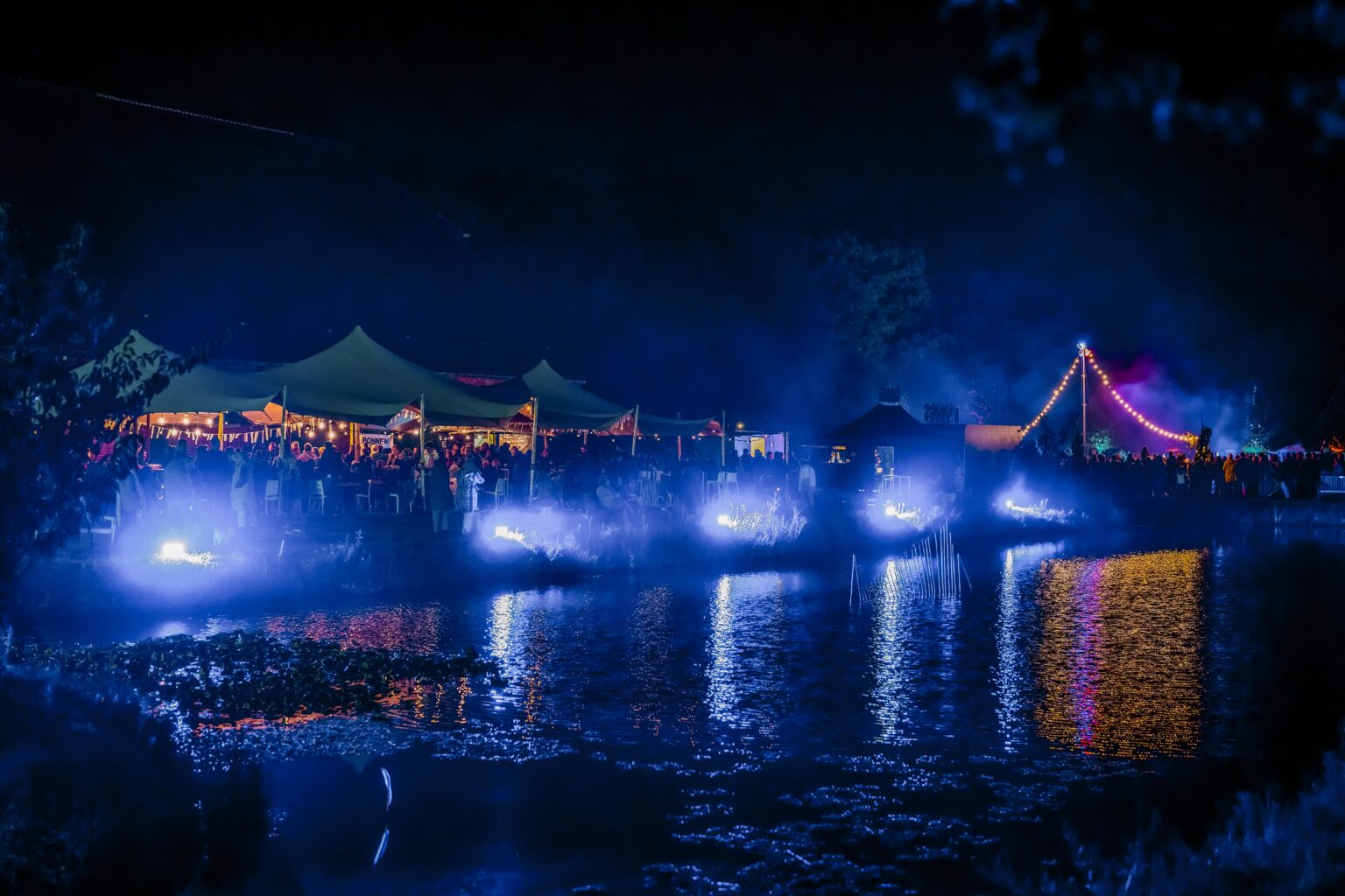 Plantentuin By Night 004 1536X1024 (2)