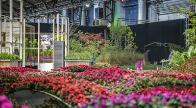 0355F508 9Cfa 42Ff 8794 18F0aef3f317 Kopie