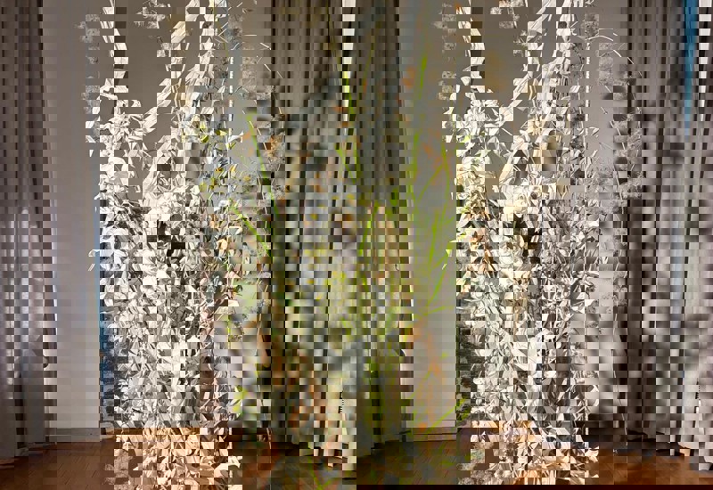 IMG 20250926 WA0015