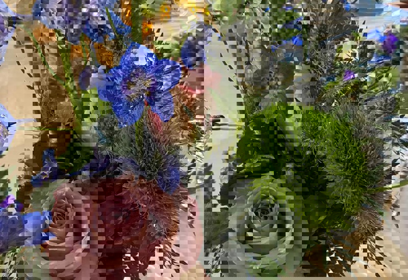 IMG 20250927 WA0002