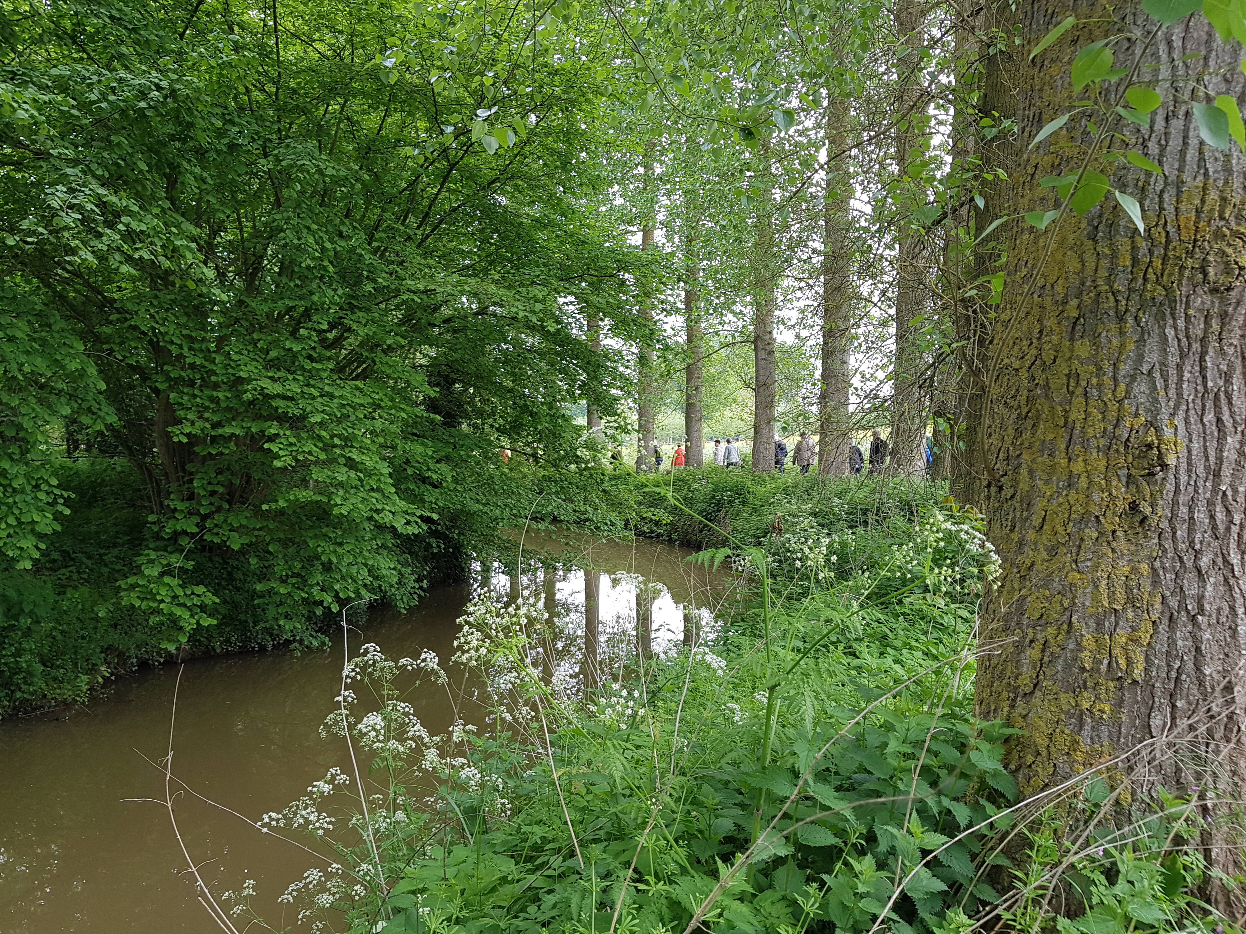 2026-05-07  /  Nederzwalm wandeling