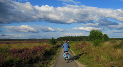 Natuurpark De Veluwe