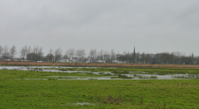 Canisvliet - Westdorpe