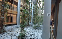 239