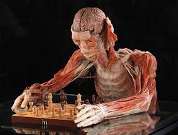 Body Worlds