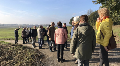 Wandelen