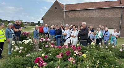 Bloemenwandeling Nieuwerkerken