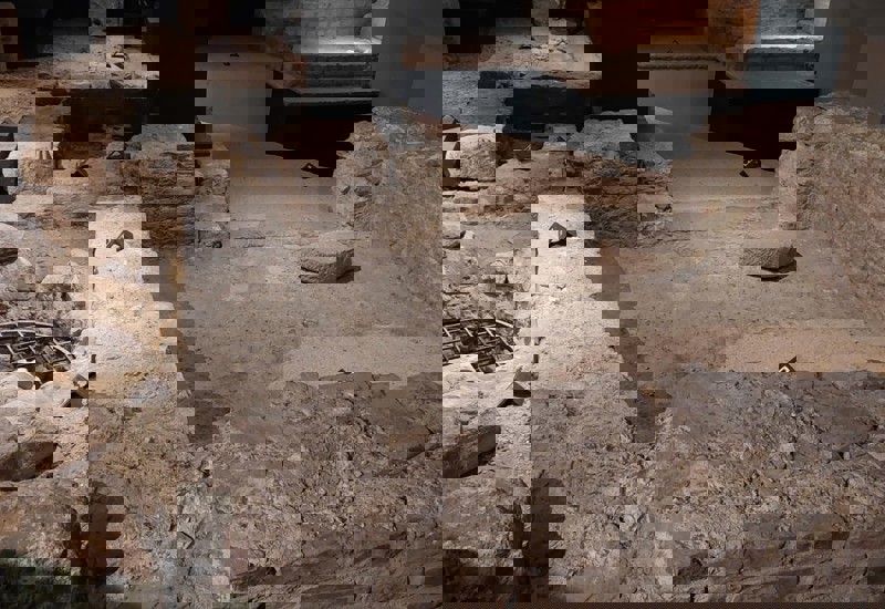 Whatsapp Image 2026 03 10 At 20.57.03 (7)