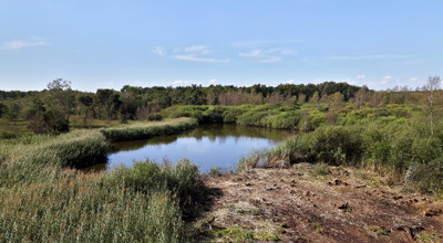 20160912 140040 (HDR)