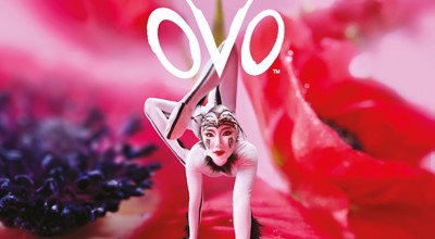 Ovo Cirque Du Soleil Jpeg1