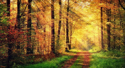 Nieuwjaarswandlingfoto