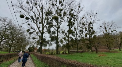 Wandelen Heks
