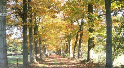 Gegidste Wandeling