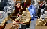 5D3f5b12 4C02 45A8 B91b 7Ef67eb9b52f