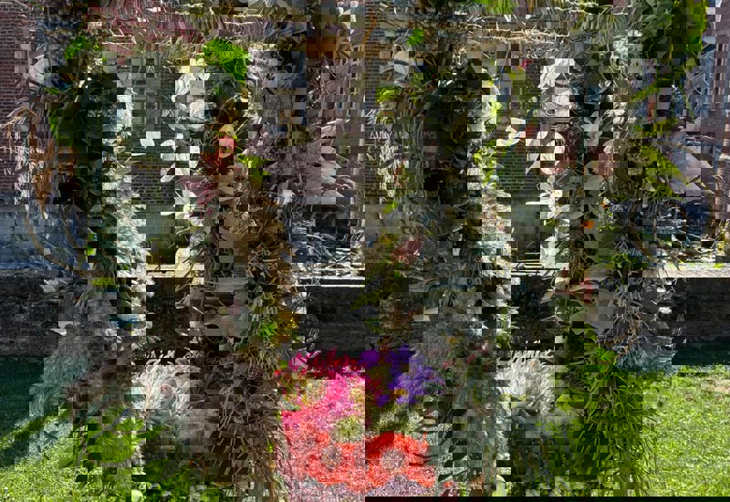 IMG 20250926 WA0038
