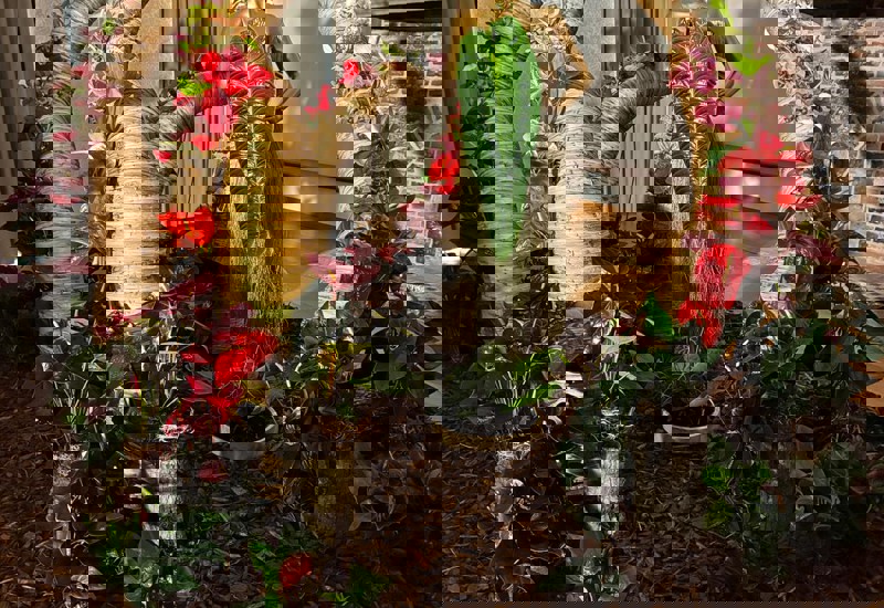 IMG 20250926 WA0016