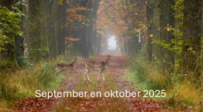 September En Oktober 2025