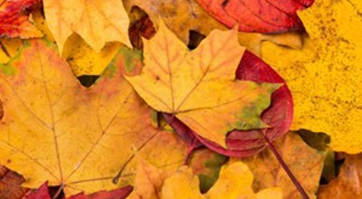 Herfst