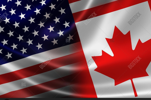 Canadese Vlag Google Zoeken