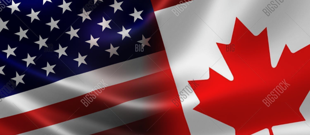 Canadese Vlag Google Zoeken
