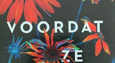 Voordat Ze Verdween