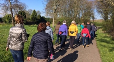 Herfstwandeling