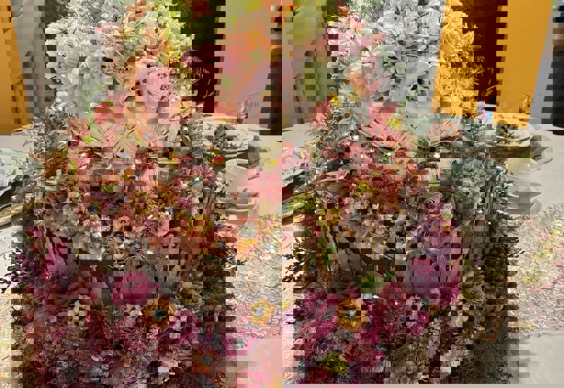 IMG 20250926 WA0020