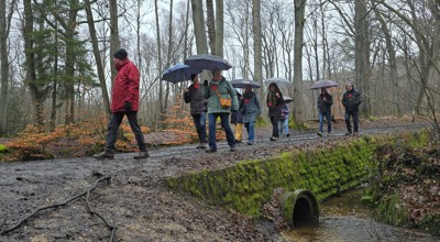 20260213 Valentijwandeling