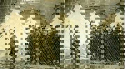 998A6b10659835a75f448a27be005e97 Refugees Wwi