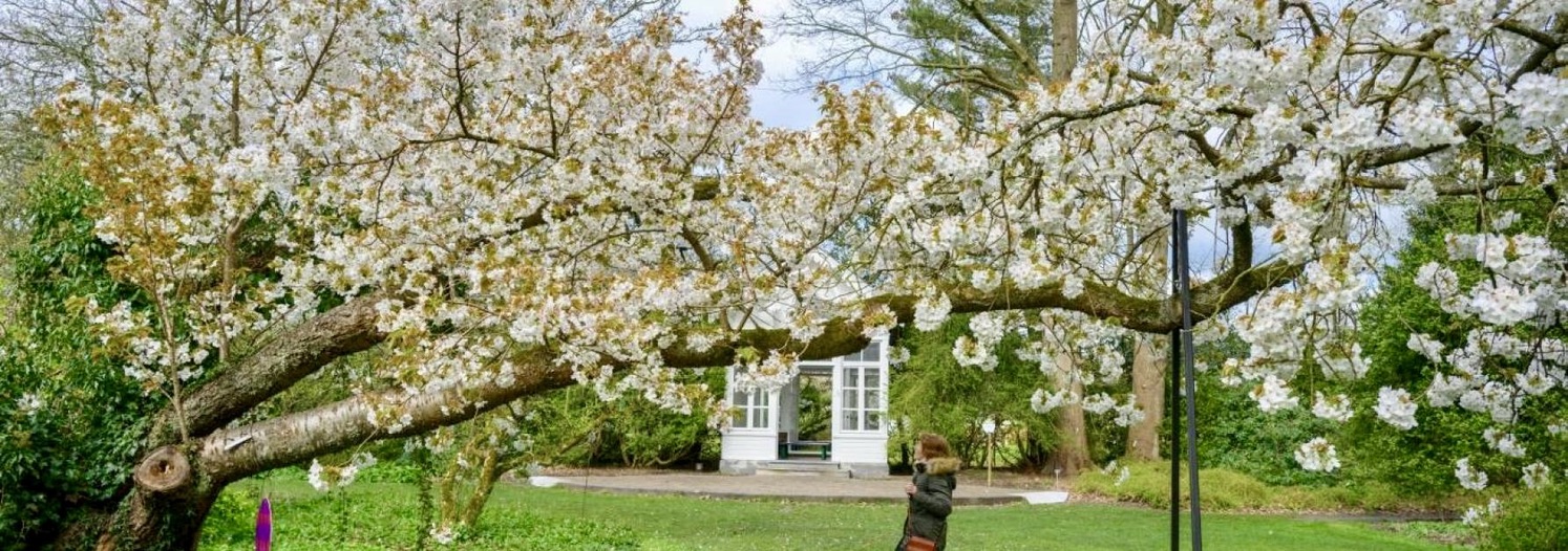 2167E23a Ef0e 4A1d 9541 D0b3f464ffa6 1 105 C