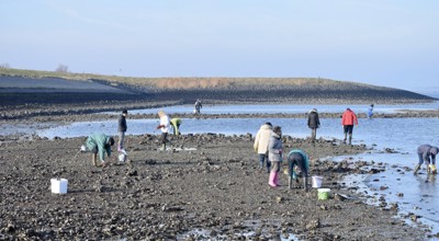 A3518fc8 Af4e 48F3 85Ea 779Fb1e06500 1 105 C