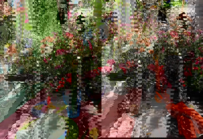 IMG 20250926 WA0019